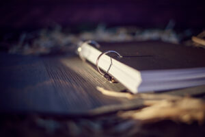 Agenda din lemn - model Inger - gri