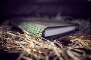 Agenda din lemn - model Casa Bufnitelor - verde