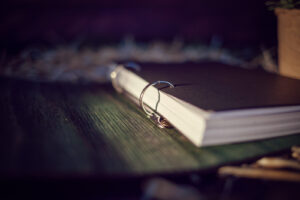 Agenda din lemn - model Casa Bufnitelor - verde