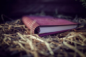 Agenda din lemn - model Speranta - roz