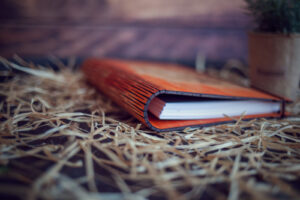 Agenda din lemn - model Pisica