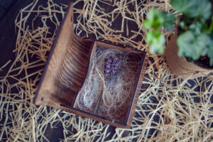 Cutie din lemn mica pentru stick USB - model Elefantul Stropitor