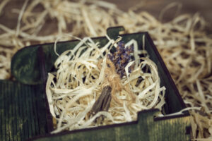 Cutie din lemn mica, VintageBox, model Copacul din carte – Happy Time